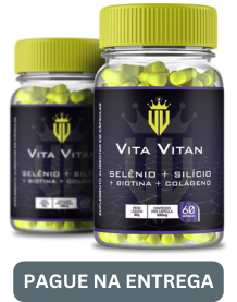 Vita Vitan
